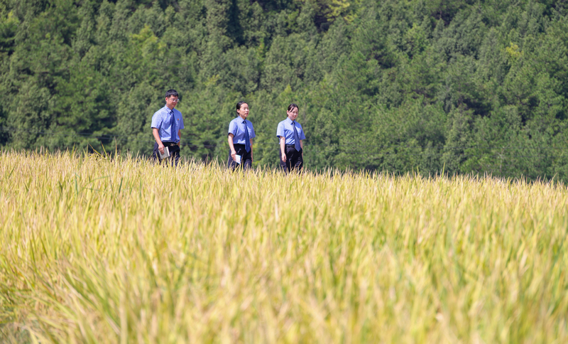 2025年9月4日，檢察干警在貴州省銅仁市玉屏侗族自治縣亞魚鄉郭家灣村向農戶宣傳防范電詐、民法典等法律知識。