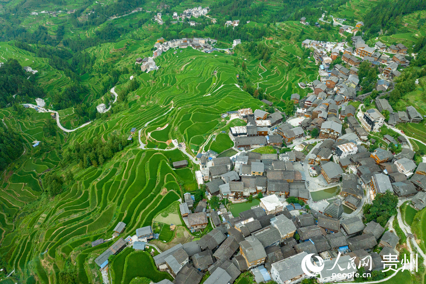 航拍堂安侗寨梯田。人民網 陽茜攝