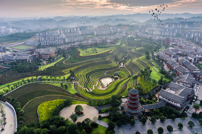 奢香古鎮梯田。羅大富攝