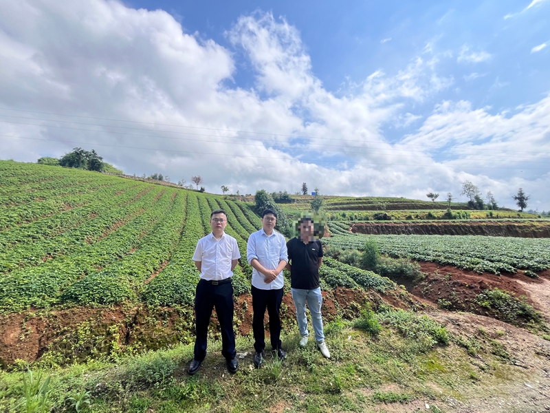 2 圖為該行工作人員到施秉縣太子參種植基地了解種植情況，并開展貸款盡職調查。.jpg