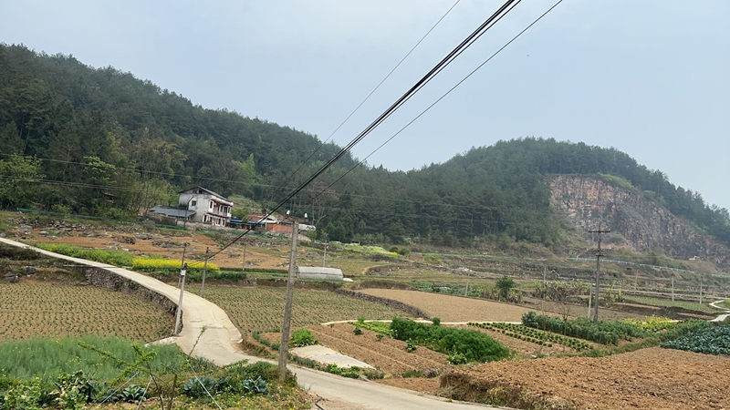 樂耕村上臺組。網友供圖