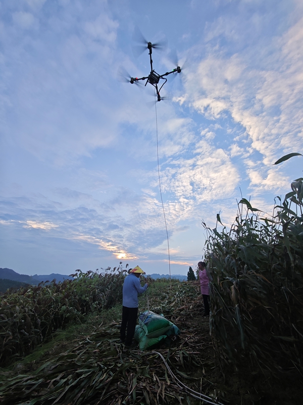 無人機運輸高粱.jpg