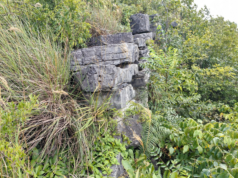 雙堡村古營盤石墻一角。姜繼恒攝