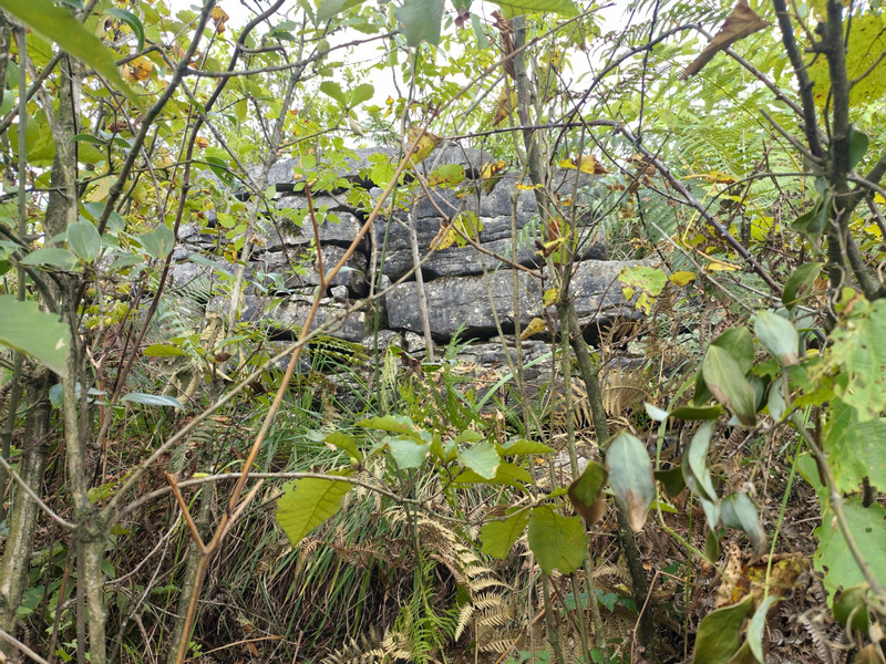 雙堡村古營盤石墻。姜繼恒攝