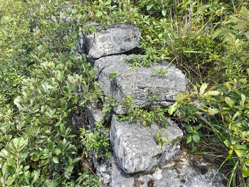 深藏于叢林的雙堡村古營盤石墻。姜繼恒攝