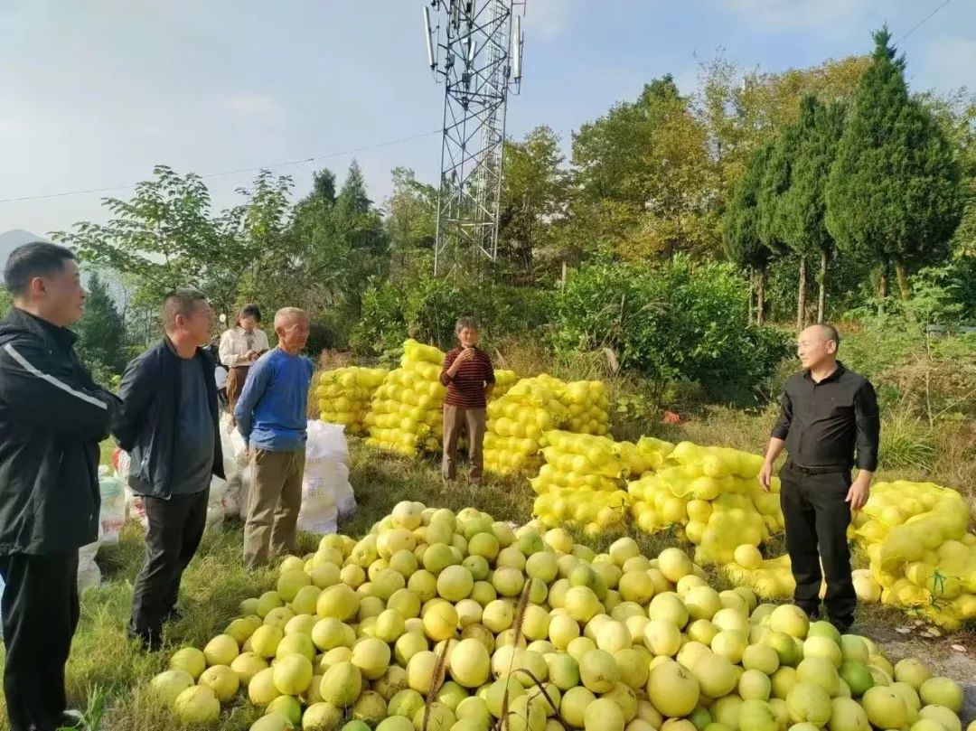 開展駐村幫扶工作。