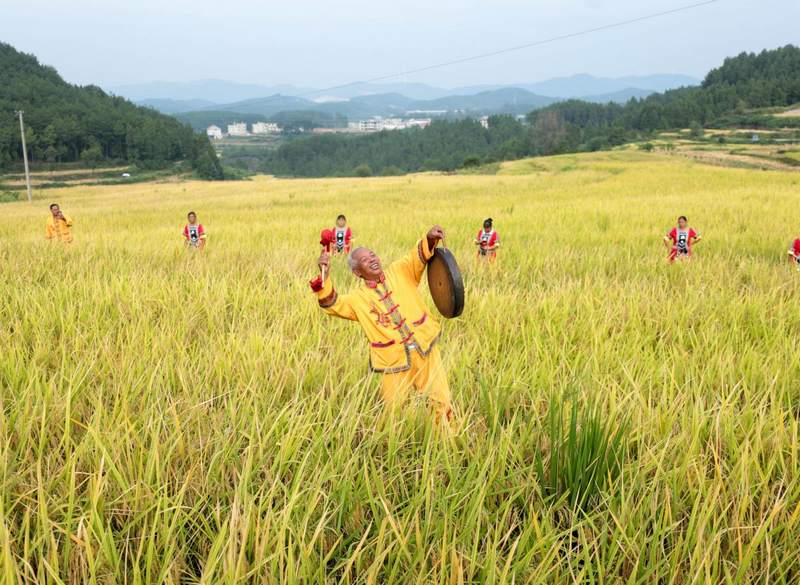 活動現場。徐雪攝