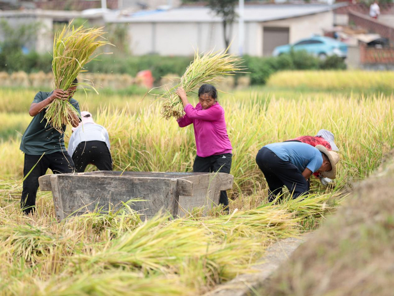 活動現場。徐雪攝