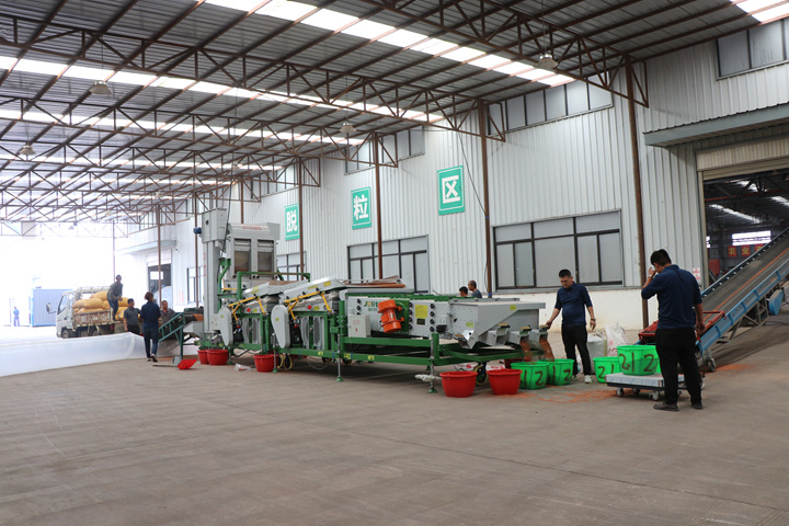 七星關區酒用高粱加工收購中心，經過基地核對、排隊編號、質量外檢、機選、過磅等收購流程后，一顆顆飽滿紅潤的高粱粒順利入倉。劉娟攝