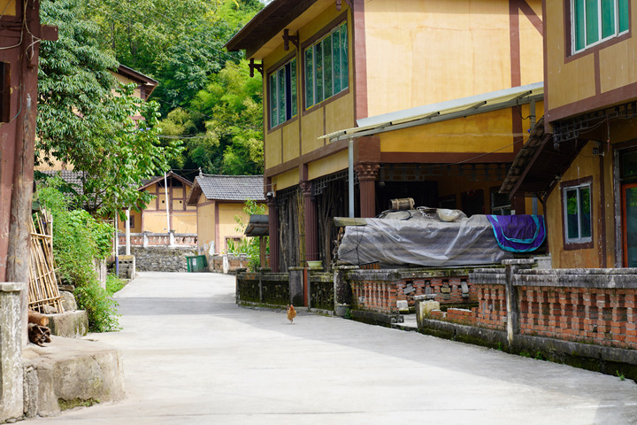 圖為太壩村潔凈街道。黃婷婷攝