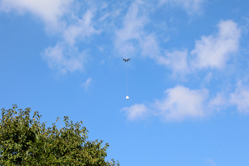 無人機助力方竹筍出山。陳桂良攝