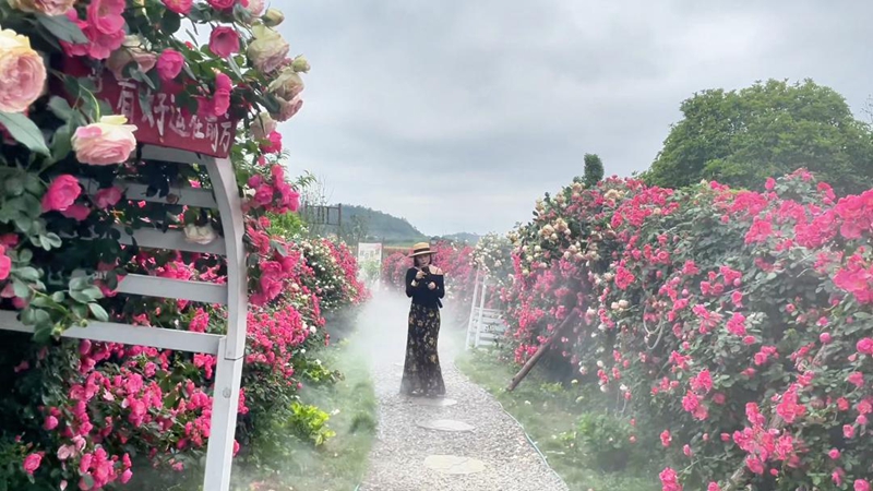 游客在萌遇桃花島拍照。