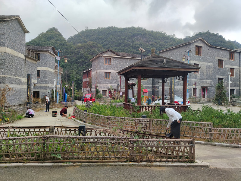 開展“兩清兩改兩治理”專項行動。