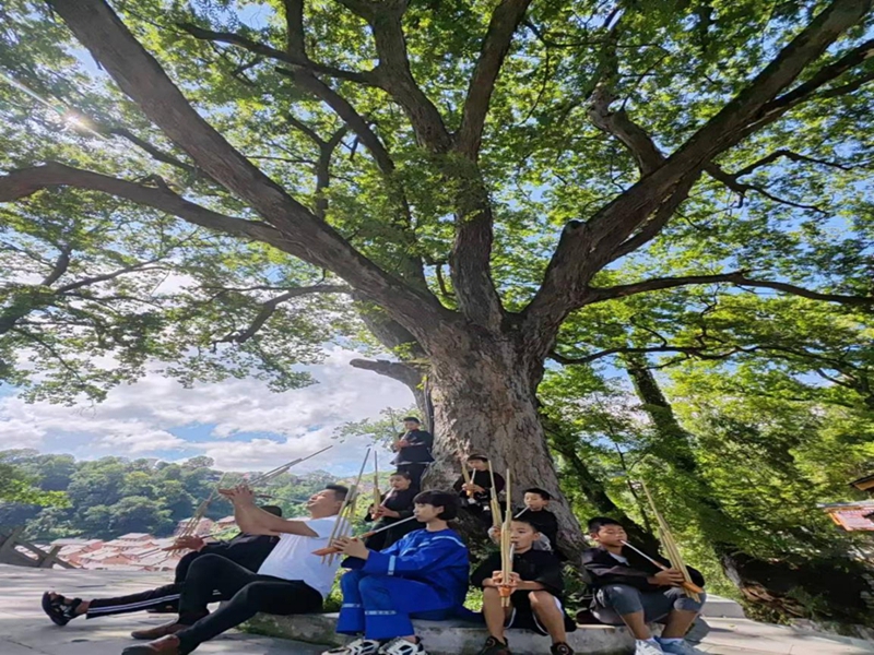 楊昌杰在報京村“莫嘎樹”下教授報京中心小學學生吹奏蘆笙。李安生攝