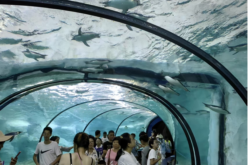 3 圖為在該行的金融支持下，昔日的海洋公園已煥發勃勃生機。.jpg