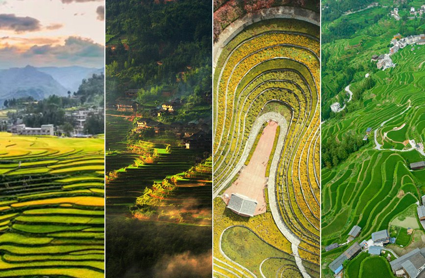 AI貴州有多彩 | 一眼千層景，貴州梯田的千姿百態