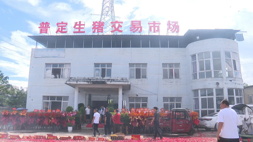 全縣首家生豬交易市場——普定誠銘閣牲畜批發有限公司正式成立。