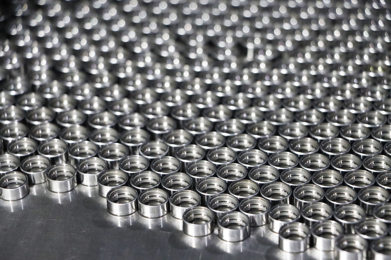 小軸承“轉”出發展新速度。