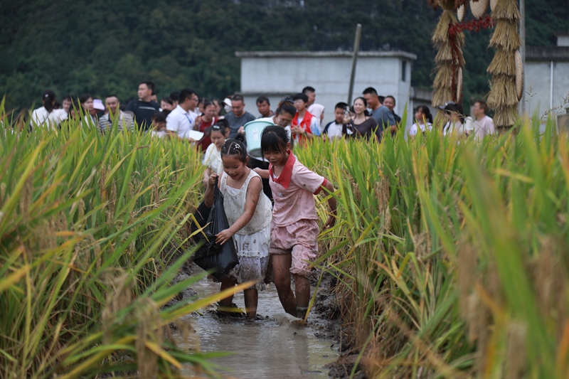 孩子們在體驗抓魚。