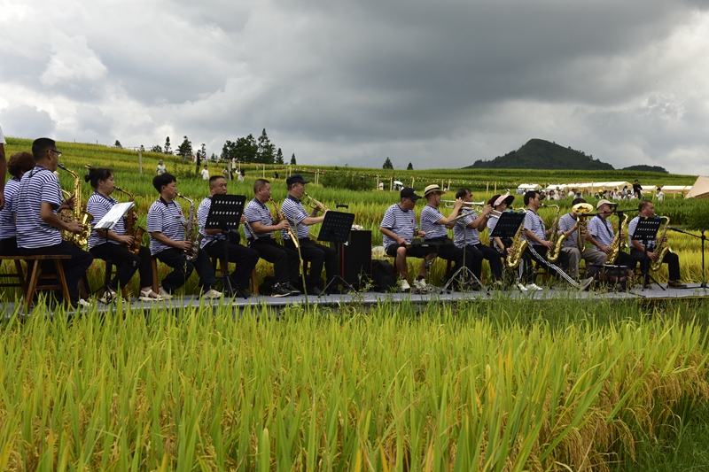 田間音樂表演現場。