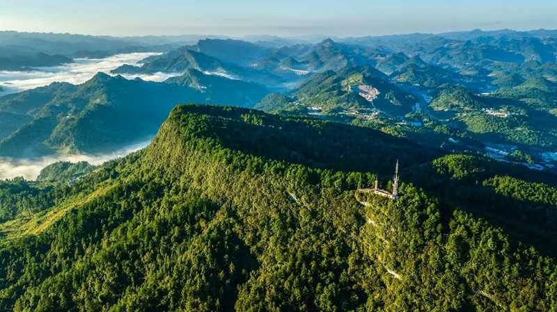 貴州務川：仡鄉山水孕珍味 黔北沃土出佳鮮 (2)