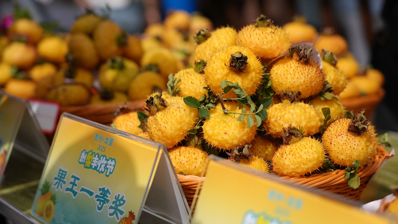 4 “刺梨果王”一等獎