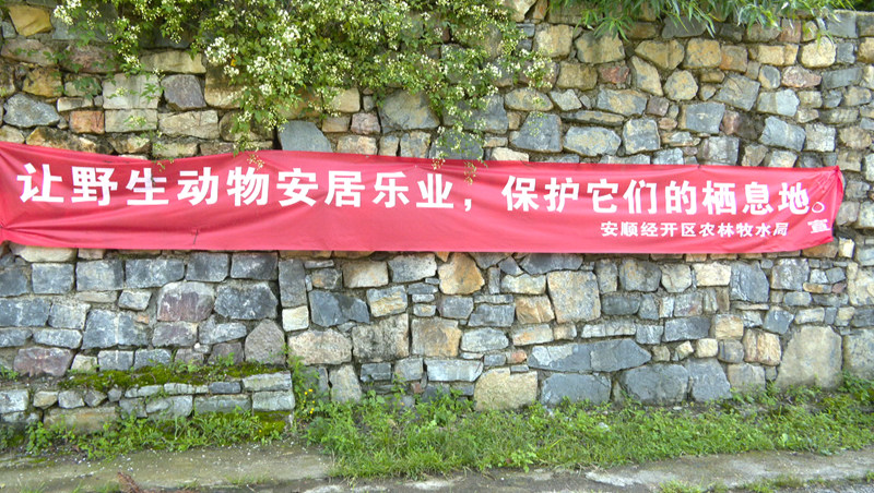 安順經開區多部門聯合開展野生鳥類保護專項行動。