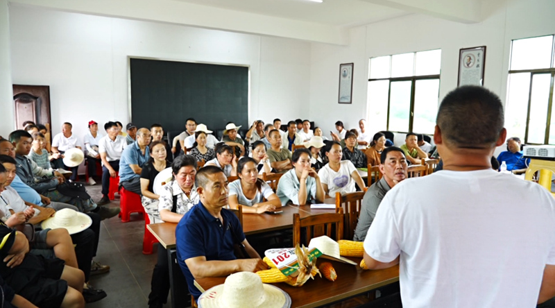 田間地頭選良種 技術培訓促增收。
