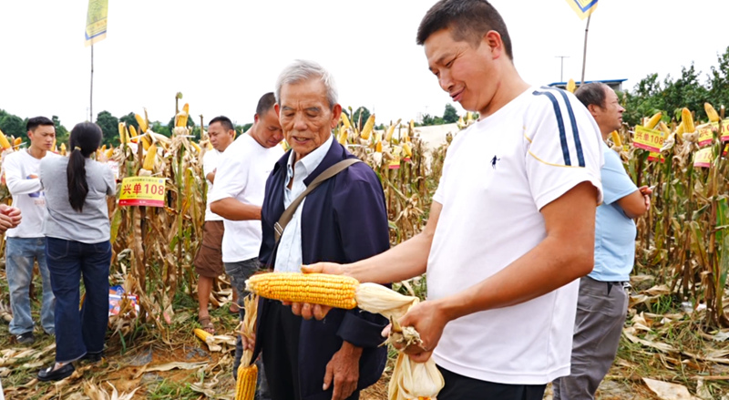 田間地頭選良種 技術培訓促增收。