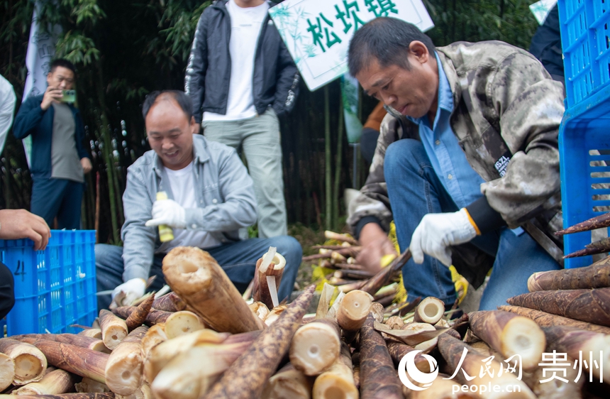 農戶正在剝方竹筍。人民網 黃小桃攝