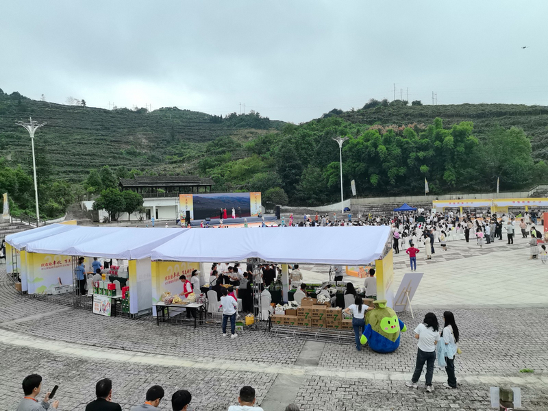 大會活動現場。李宇攝