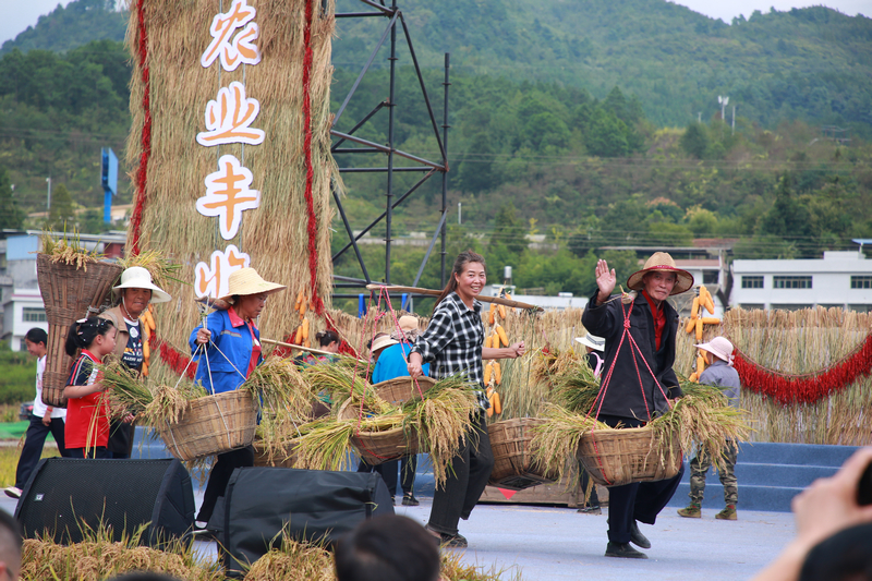 七星關區2025年中國農民豐收節分會場活動現場， 文藝匯演精彩紛呈。