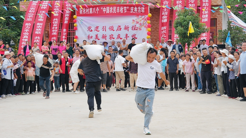 村民們正在進行高粱負重接力賽，扛起沉甸甸的高粱，健步如飛。