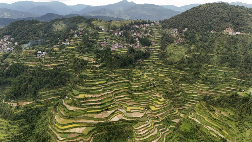 南寨白都梯田。