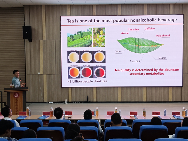 活動現場。貴州大學茶學院供圖