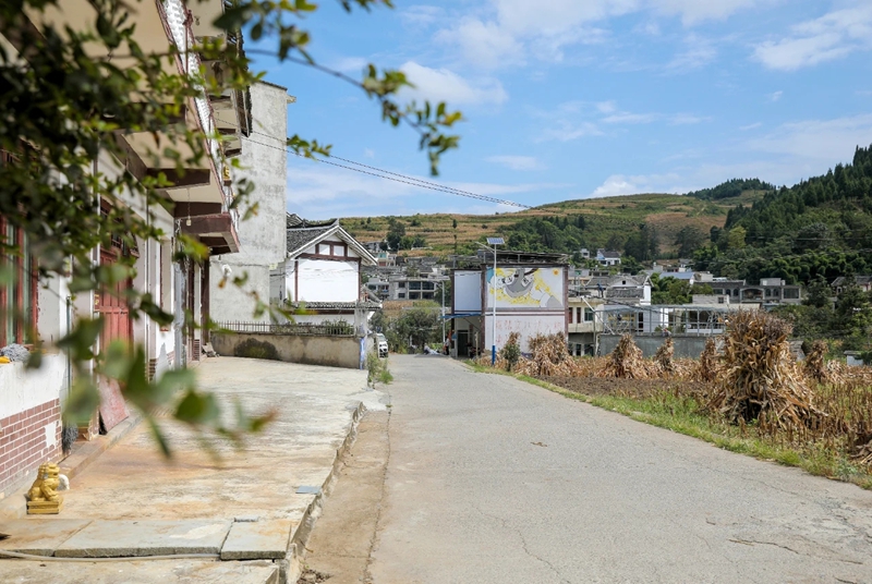 貴州黔西林泉鎮：“小箱”落地促變貌  東西協作添“顏”值 (3)