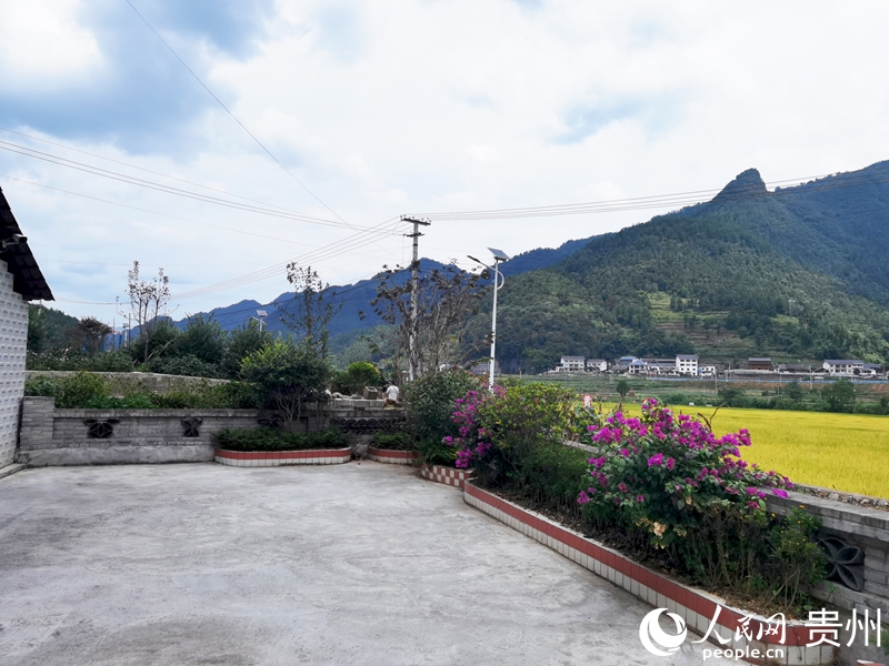 村民的院子干凈整潔、鮮花盛開。人民網記者 王秀芳攝