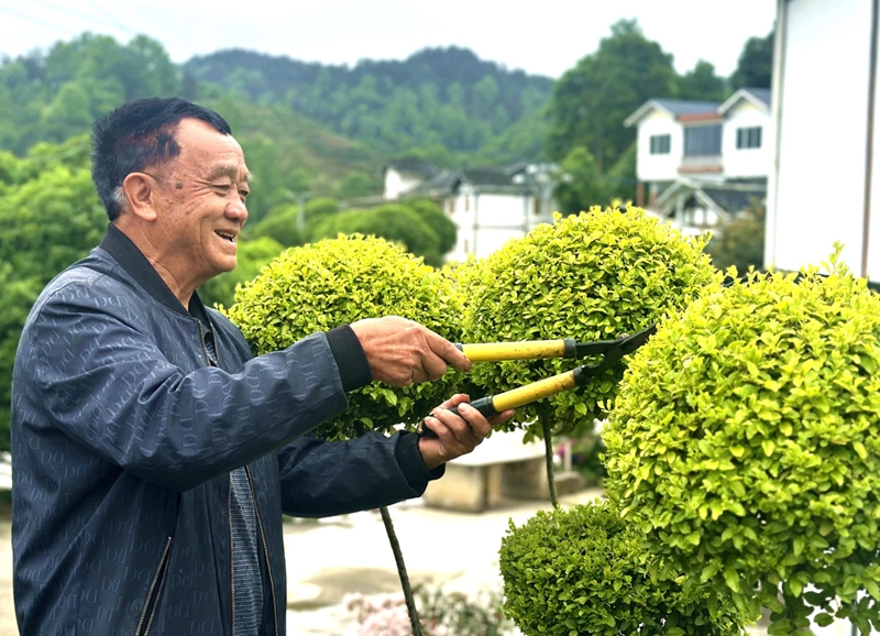 村民正在打理自家庭院。湄潭縣融媒體中心供圖