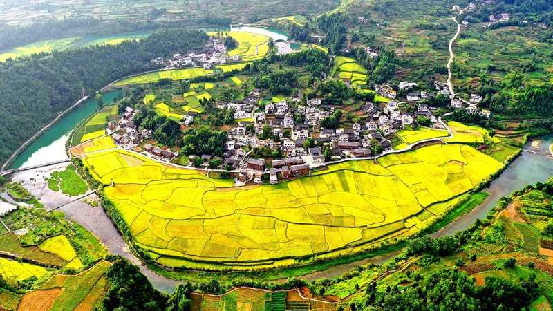 山環水繞。羅逸攝