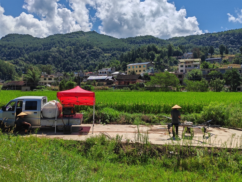 圖為：無人機噴施中微量元素肥料