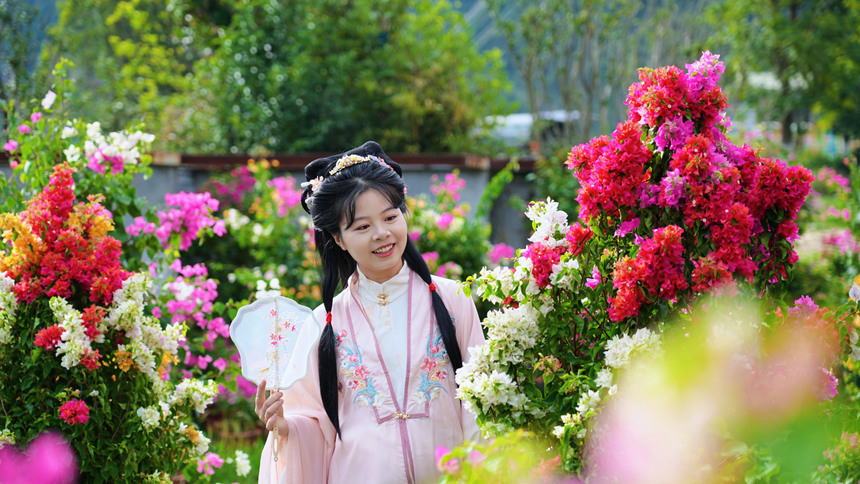 游客在精品梅花海中打卡。