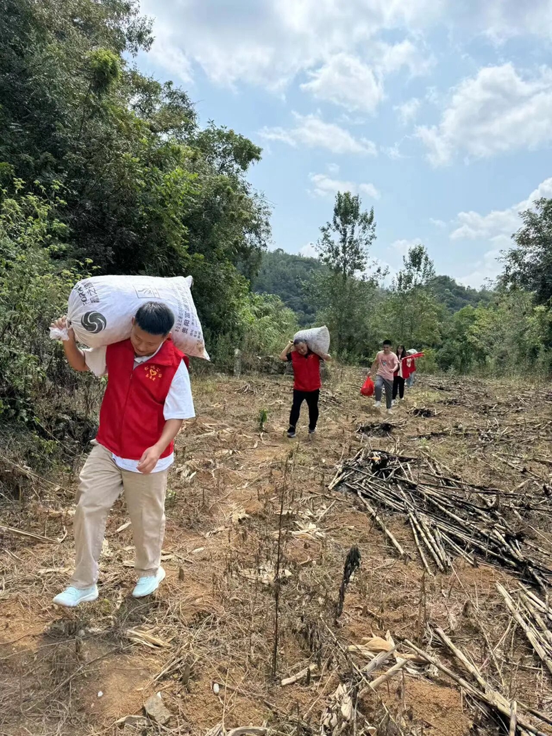 4 圖為青年志愿者正在運輸采摘下來的辣椒.jpg