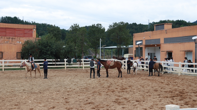 增加新的馬術訓練場。