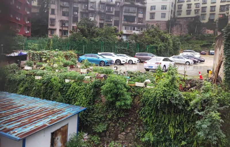 南婭社區堡坎改造前。