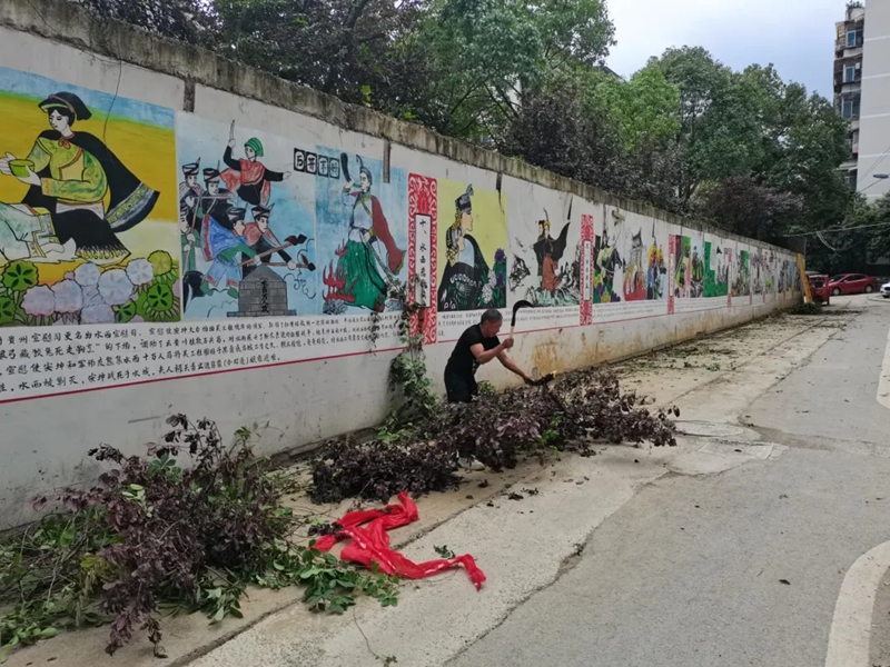 吉貴大院的爬山虎清理中。