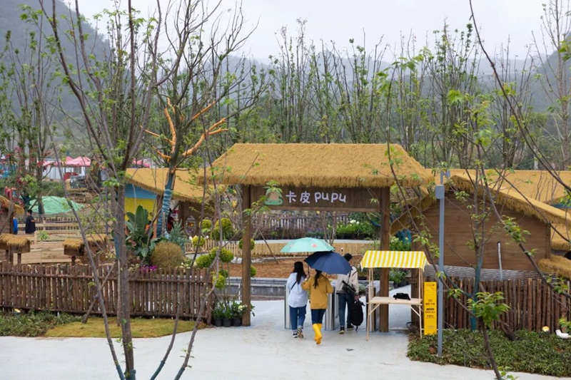 5、卡皮pupu萌寵館 。