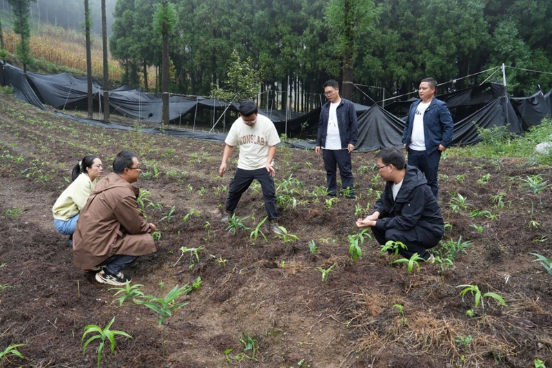 工作人員正在指導村民。