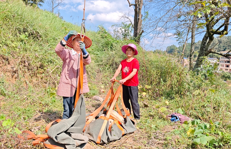 圖為施秉縣楊柳塘鎮農戶正在裝袋掛鉤（潘佳佳攝）