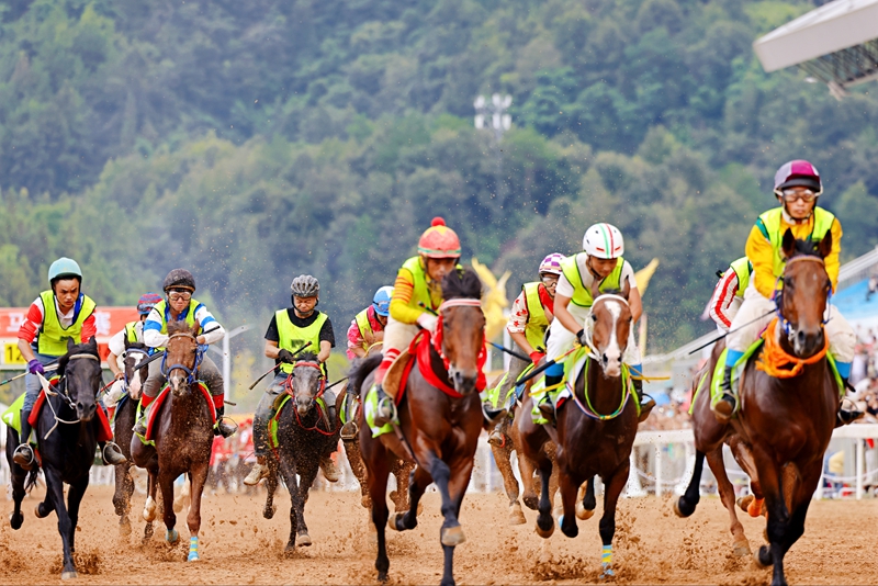 駿馬飛馳。