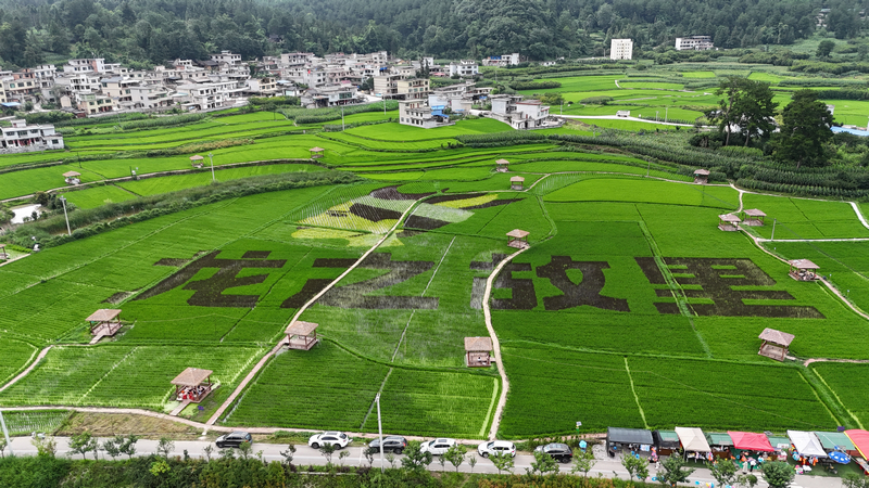 龍里縣龍山鎮余下村村景。